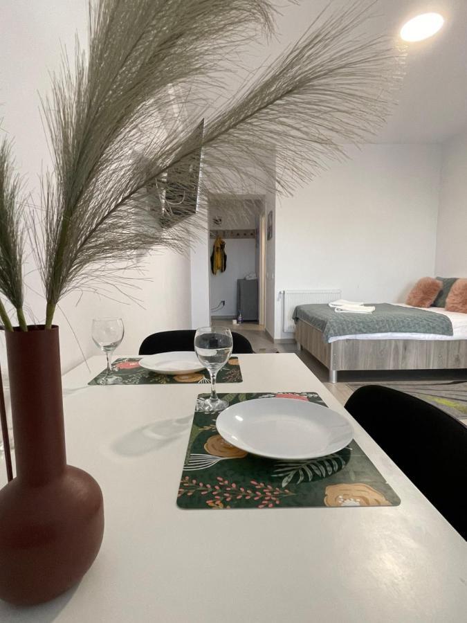 Studio Apartment Palas Mall Iasi Exterior foto